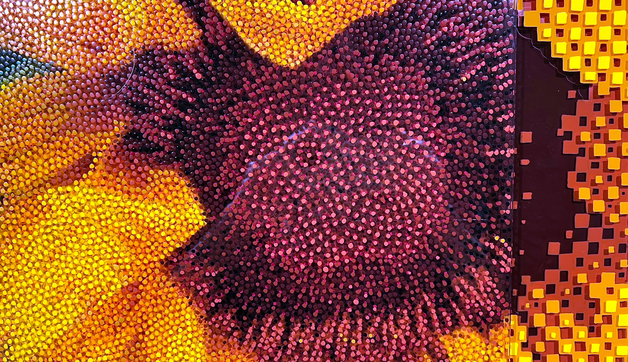 Rise And Shine – Sunflower center in pink and red dots beside a yellow graphic border